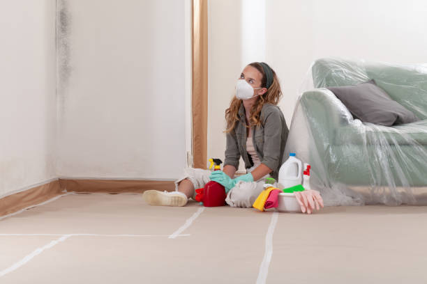 Reliable Black Mold Removal contractor in Stevensville, MI by WQB Mold Removal